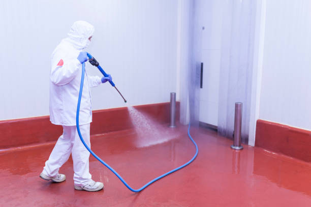Best Paint Preparation  in Belleair Bluffs, FL